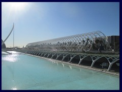 City of Arts and Sciences 023 - L'Umbracle, a 320 m long garden walk that is like an entrance. It has over 100 palm trees.